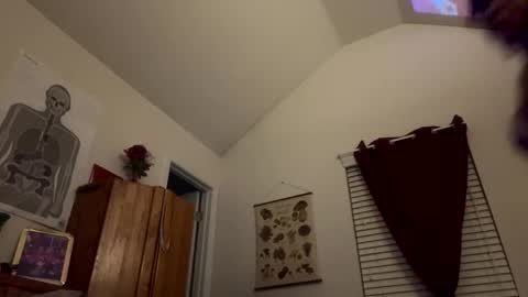 stellakobra online show from 11-15-25, 08:11