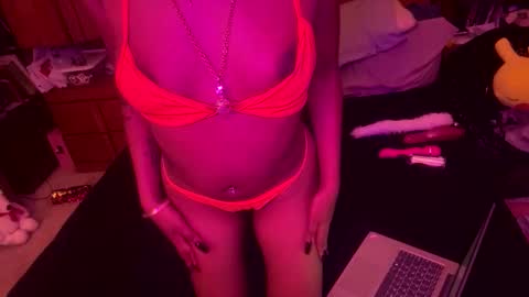 stellakobra online show from 11-19-25, 04:12