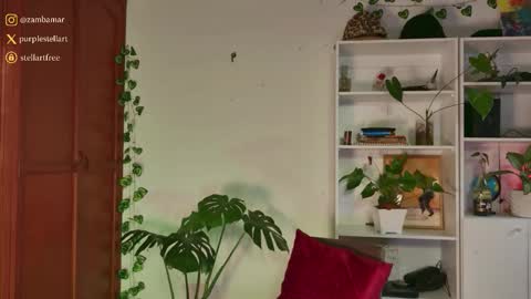 stellart_ online show from 11-30-25, 10:14