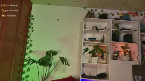 stellart_ online show from 12-03-25, 01:57