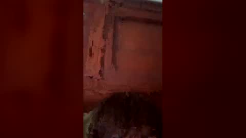 stetsonggg online show from 04-29-26, 06:25