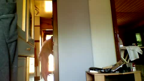 Snapshot of stevefromfrance chatting on 07-20-26, 08:50 stevefromfrance online show from 07-20-26, 08:50