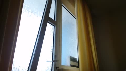 Steven online show from 02-19-25, 01:39