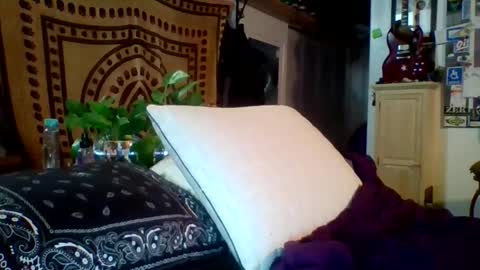 Snapshot of steviehard7 chatting on 02-12-25, 05:15 steviehard7 online show from 02-12-25, 05:15