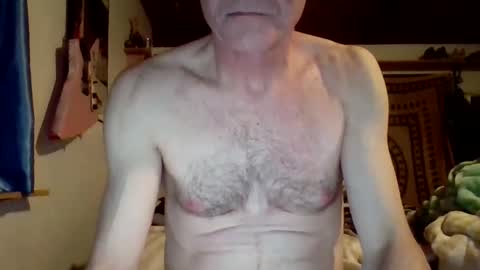 Snapshot of steviehard7 chatting on 03-08-25, 04:56 steviehard7 online show from 03-08-25, 04:56