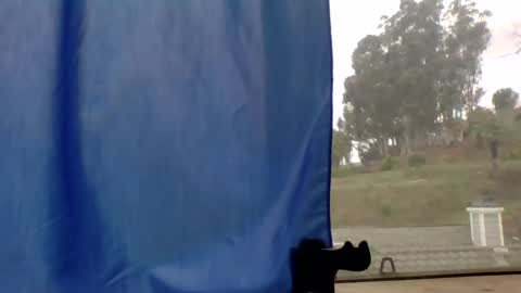 Snapshot of steviehard7 chatting on 03-11-25, 04:51 steviehard7 online show from 03-11-25, 04:51