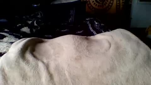 Snapshot of steviehard7 chatting on 03-12-25, 04:02 steviehard7 online show from 03-12-25, 04:02