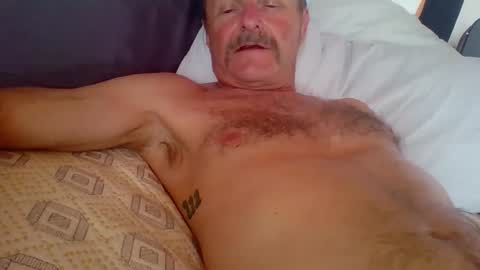 Snapshot of steviehard7 chatting on 10-02-25, 10:50 steviehard7 online show from 10-02-25, 10:50