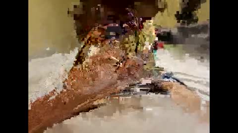 stittymike online show from 12-16-24, 05:27