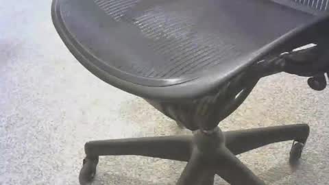 stl hammer online show from 11-06-25, 08:54