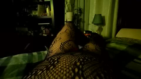 StockingGeek online show from 12-05-25, 07:06