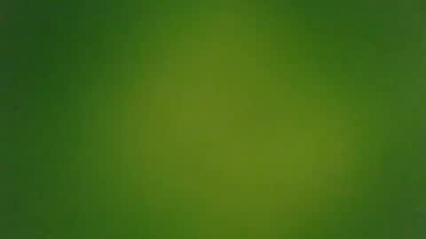 stonedandlovingit online show from 03-03-25, 01:42