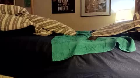 Snapshot of stoppageflo45662 chatting on 10-24-25, 10:55 stoppageflo45662 online show from 10-24-25, 10:55