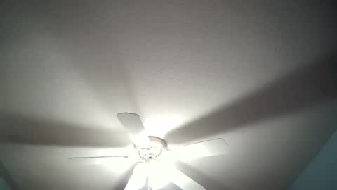 str8whiteboy21 online show from 12-19-24, 04:34