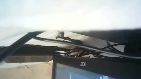 Snapshot of strangerdanger_2 chatting on 01-09-26, 11:35 strangerdanger_2 online show from 01-09-26, 11:35