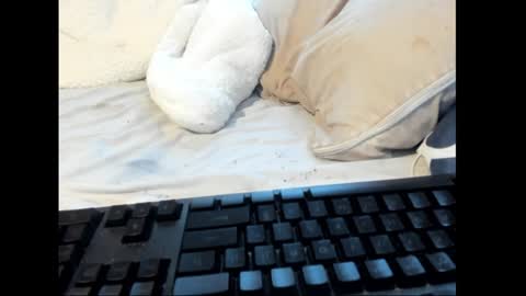 strawboy300 online show from 01-26-25, 08:45