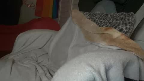 Dong Stroker online show from 03-18-26, 09:01