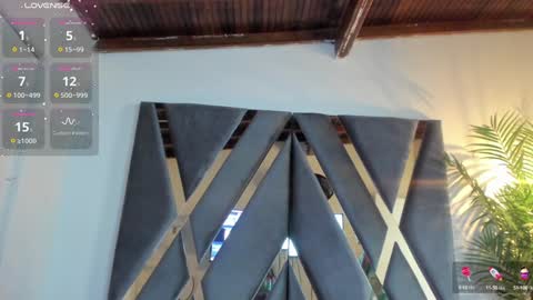 Alexa   online show from 01-24-25, 11:04