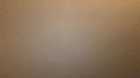 Snapshot of stud55231121 chatting on 04-21-26, 11:49 Stud55 online show from 04-21-26, 11:49
