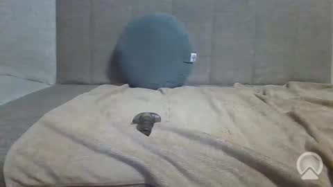Snapshot of sub_12107 chatting on 06-10-26, 08:41 sub_12107 online show from 06-10-26, 08:41