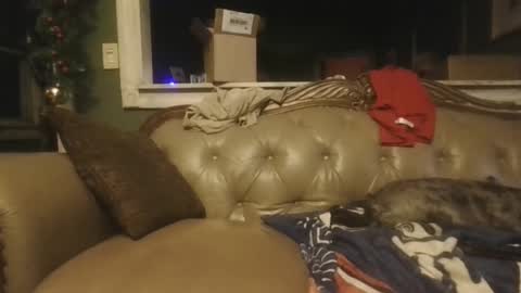 sub_michael41 online show from 12-21-24, 06:52