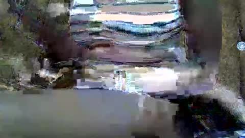 submissive_slut001 online show from 01-12-25, 11:50