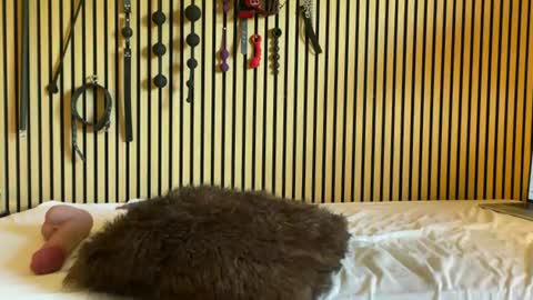 Submissive Slut online show from 07-17-26, 07:37