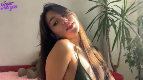 Snapshot of sugar_morgan chatting on 02-25-26, 04:22 Morgan online show from 02-25-26, 04:22