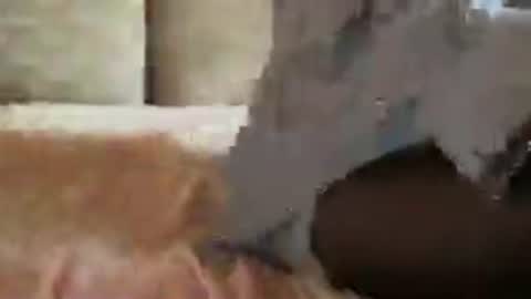 Sext online show from 07-22-26, 12:52
