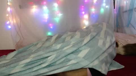 Snapshot of suley_fox chatting on 03-04-26, 02:17 zuley online show from 03-04-26, 02:17