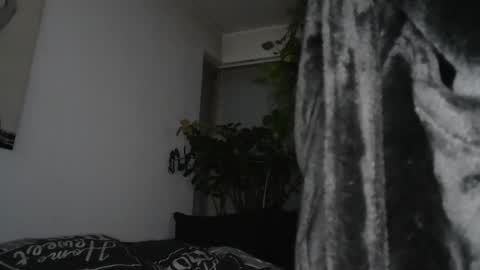 Snapshot of sundicksun chatting on 12-17-24, 07:59 s online show from 12-17-24, 07:59