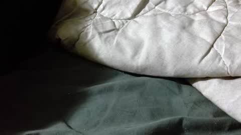 Shy guy online show from 04-19-26, 07:16