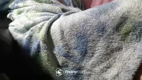 Snapshot of sunnybigboy88 chatting on 11-06-25, 07:04 sven online show from 11-06-25, 07:04