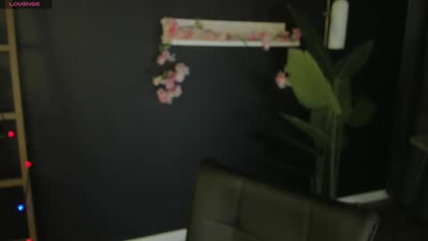 Snapshot of sunnyrisha chatting on 01-14-25, 12:35 Risha online show from 01-14-25, 12:35