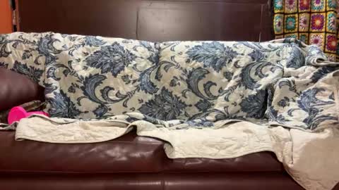 Snapshot of supremelifers chatting on 01-14-25, 07:48 Stony online show from 01-14-25, 07:48