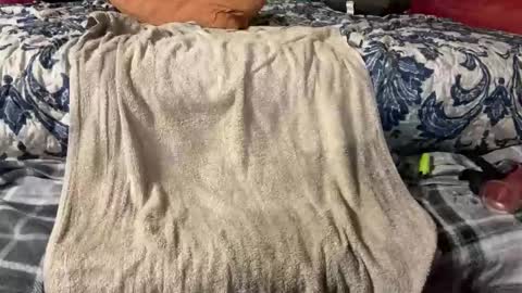 Snapshot of supremelifers chatting on 03-03-25, 09:48 Stony online show from 03-03-25, 09:48