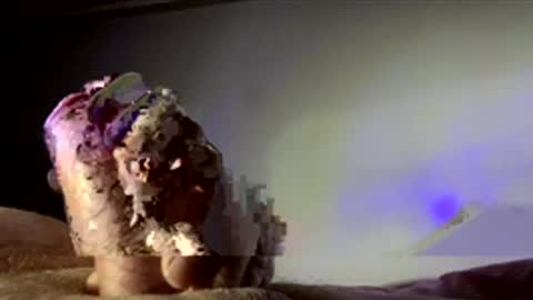 Snapshot of surgenz73 chatting on 01-16-26, 02:37 surgenz73 online show from 01-16-26, 02:37