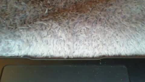 Suseee online show from 03-21-26, 03:44