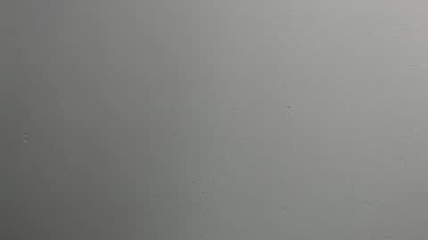 Snapshot of sussy_leon chatting on 01-28-25, 12:11 sussy leon online show from 01-28-25, 12:11