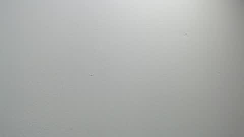 Snapshot of sussy_leon chatting on 02-11-25, 12:05 sussy leon online show from 02-11-25, 12:05