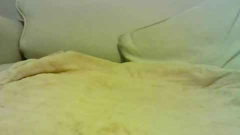 Peter online show from 01-10-26, 07:04