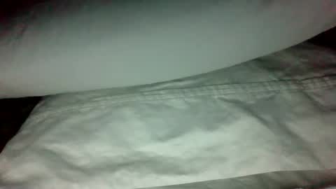 swampdonkey419 online show from 02-19-25, 11:28