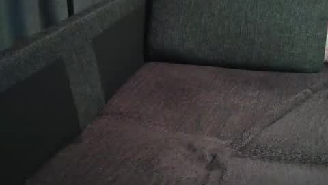 Snapshot of swartarn chatting on 12-21-24, 06:30 ArnSwart online show from 12-21-24, 06:30