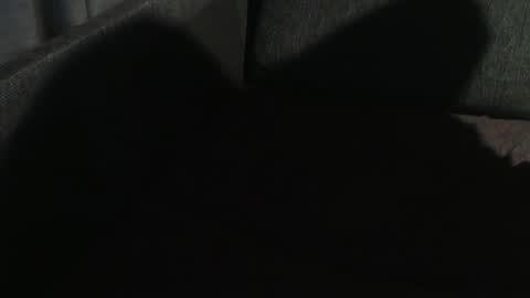 Snapshot of swartarn chatting on 01-07-25, 11:03 ArnSwart online show from 01-07-25, 11:03