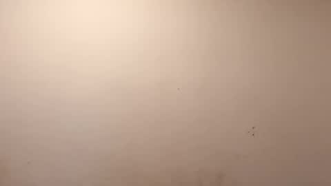 Snapshot of sweaterboy666 chatting on 03-10-26, 11:37 sweaterboy666 online show from 03-10-26, 11:37