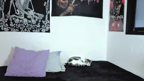 Snapshot of sweet__natashaa chatting on 04-06-26, 09:49 Natasha independent modelo online show from 04-06-26, 09:49