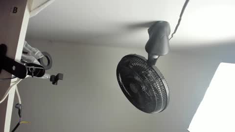 Vanessa online show from 10-27-25, 04:49