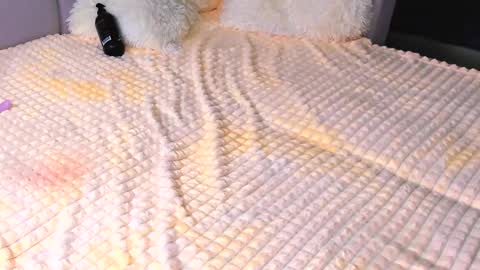 Snapshot of sweet_barbe chatting on 09-18-25, 03:25 Alice online show from 09-18-25, 03:25