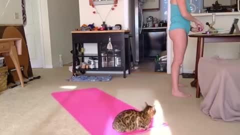 Snapshot of sweet_truffle chatting on 10-07-25, 01:19 Heidi Brenner - Please check bio for schedule FAQ online show from 10-07-25, 01:19