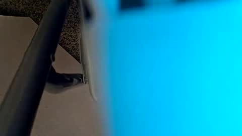 sweetboy842 online show from 01-28-25, 02:32